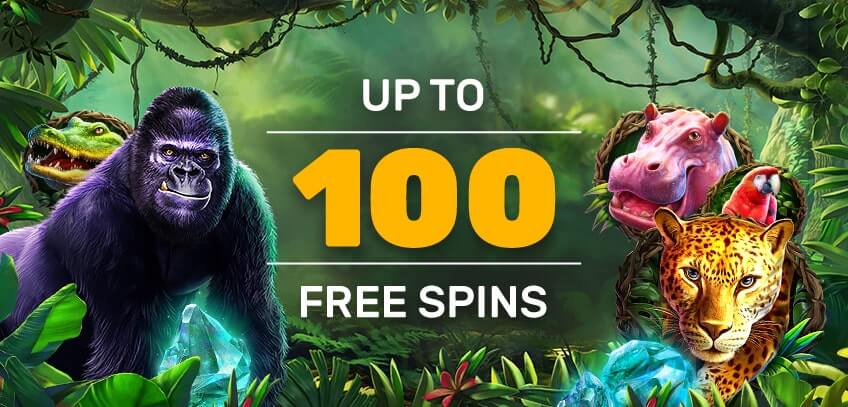 Betamo Casino Monday Jungle Adventure Promotions